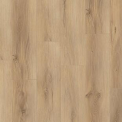 Кварцвинил Tarkett Future House 277017003 Jonas