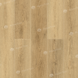 Кварцвинил Alpine Floor Grand Sequoia Eco 11-31 Сьерра